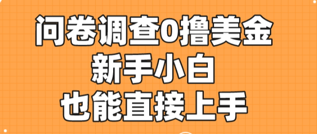 国内可做的国外问卷调查，0撸美金，新手小白也能直接上手