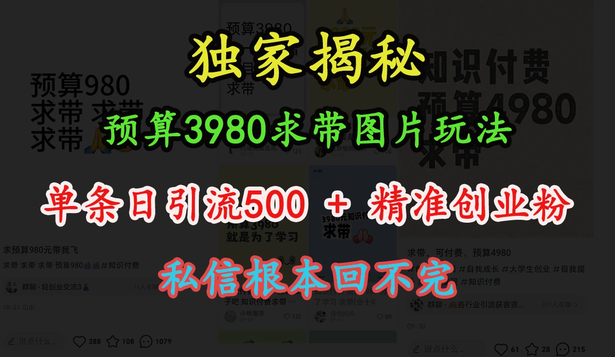 小红书”预算3980求带 图片玩法，单条日引流500+精准创业粉，私信根本回不完