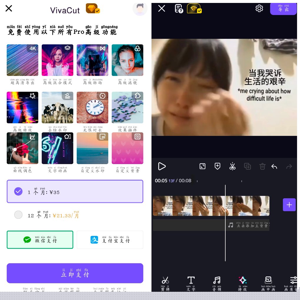 VivaCut视频剪辑v3.9.9会员版&ensp;&ensp;一款专业的视频编辑器 图1